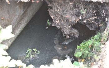 Foul odour from storm drain near Margao temple sparks outrage