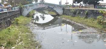 Colva creek back to polluted state months after HC order