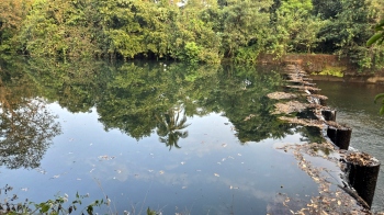 Iron gates rusted at 30 check dams in Sattari