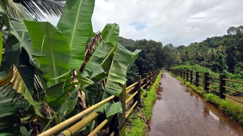 Decades-long wait nears end as new Savarde bridge in Sattari gets nod
