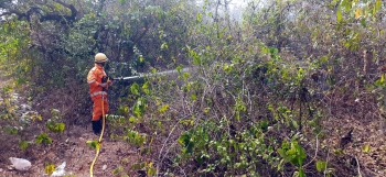 Grass fires reported at Dabe, Padeli in Sattari