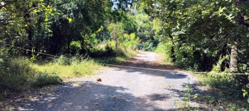 Morjim panchayat orders removal of ‘illegal’ road