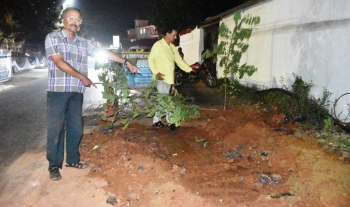 Saplings planted to flag unsafe road work