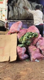 750 kg of beef seized from pickup vehicle in Sattari