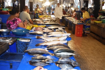 Assembly seassion | Panel formed to study fish price regulation