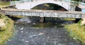 Outrage over recurring pollution in Colva Creek