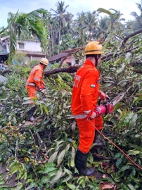 Intermittent rains and gusty winds affect parts of Sattari