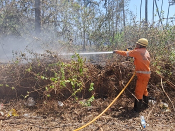 Massive fire erupts near Honda petrol pump, hits plantations