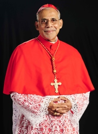 Cardinal FerrÃ£o appointed to Vatican communication body