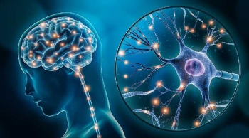 THE MINDFUL GOAN: Neuroplasticity: Your brain's secret rewiring superpower
