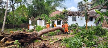 Toddler among five injured as tree crashes onto Aldona house