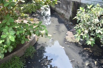 Sal gasps for breath as drone survey uncovers pollution