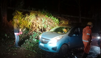 Strong winds batter Sattari, leave a trail of destruction