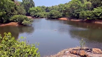 TRAGEDY STRIKES CANACONA, TWO MINORS DROWN