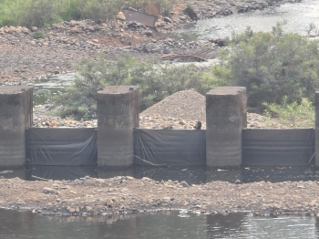 Sand mining gangs remove check dam plates in Sattari