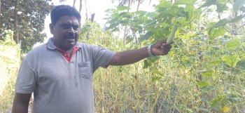 Seeds of change: Raia agriculturist finds success in 2nd innings through farming