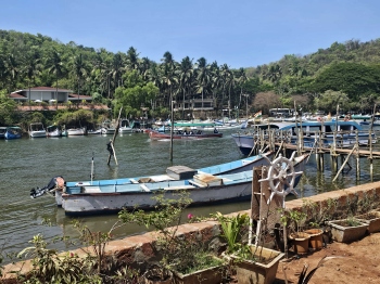 Unlicensed food suppliers to tourist boats busted in FDA raid