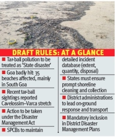 Tar ball pollution gets ‘State disaster’ tag