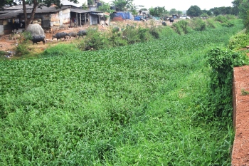 River Sal de-weeding finally on cards ahead of monsoon