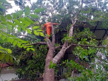 3 houses damaged due to strong winds in Sattari