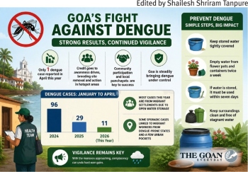 Goa sees sharp drop in dengue cases ahead of monsoon
