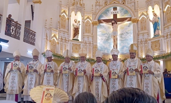 Faith not confined to structures but lived through people: Cardinal
