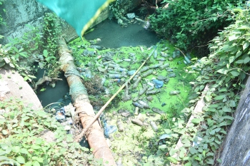 Sewage accumulates in storm water drain at entrance of district hospital