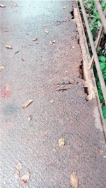Rusted Savarde bridge raises safety fears