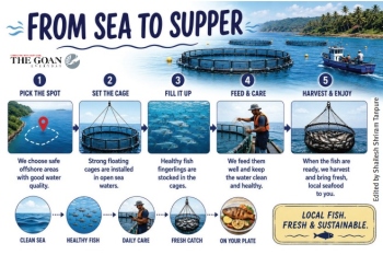Fisheries Dept revives open-sea cage farming project, invites applications