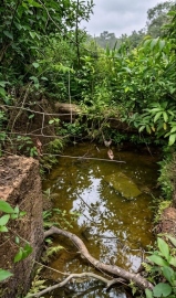 Uguem spring falls into disrepair after years of abandonment