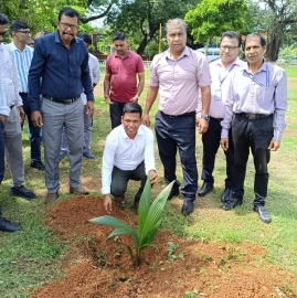 DSYA, SAG hold tree plantation drive at Campal