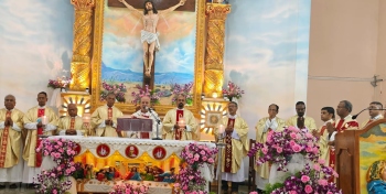 Emulate virtues of St Anthony: Auxiliary Bishop to devotees