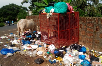 ROADSIDE DUMPING: WHY GOA FALTERS