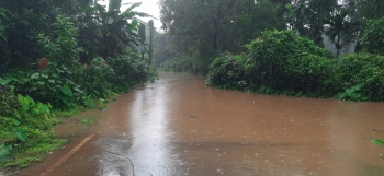Relief in sight for Sonal-Tar road monsoonal flooding