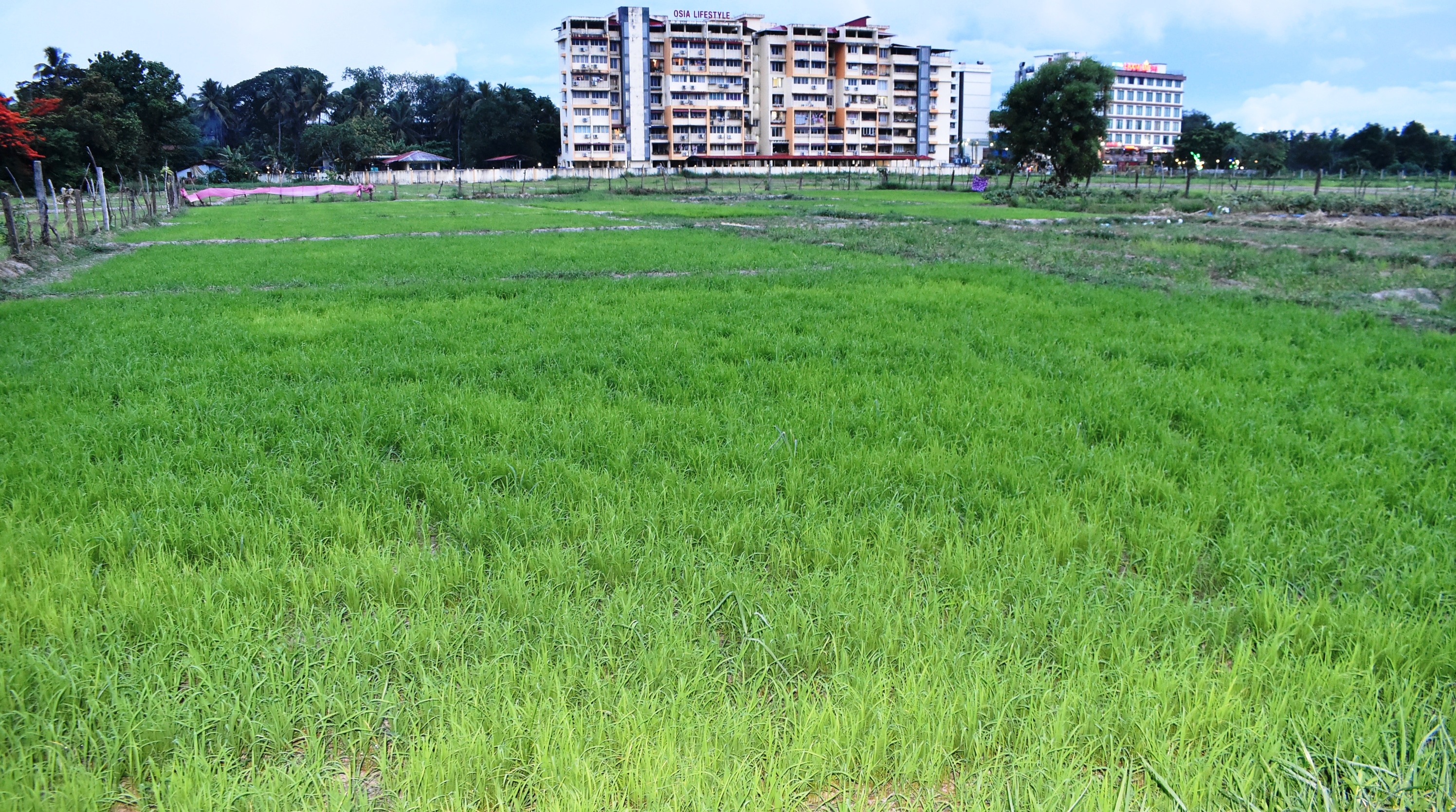 Political row rekindles farmers’ hopes of land return