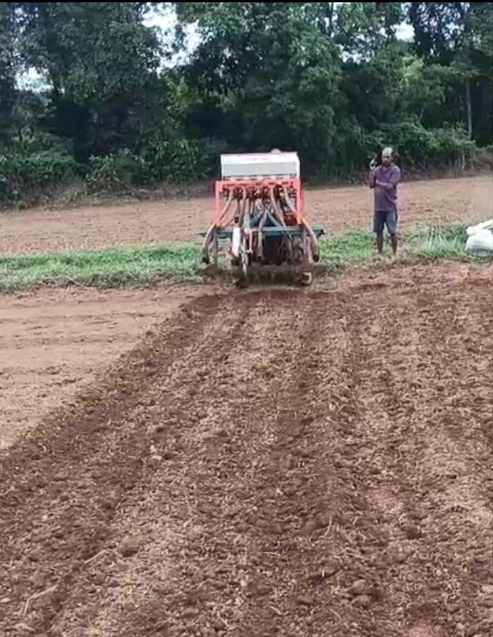 Rains trigger flurry of activity in paddy fields