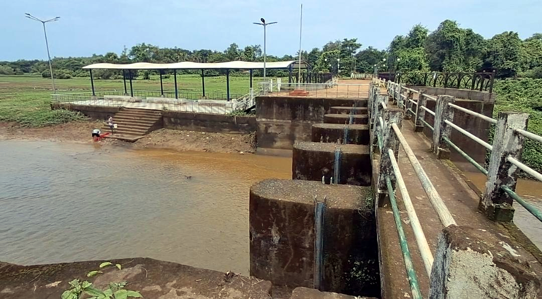 Goa's first Ramsar site Nanda lake at Curchorem in neglect