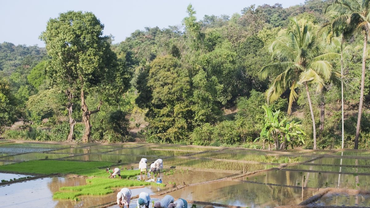 Land and the 'zoning game' in Goa