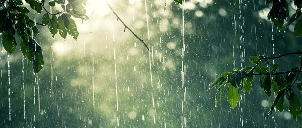 Active monsoon spell in State till July 10; rain deficit expected during second week