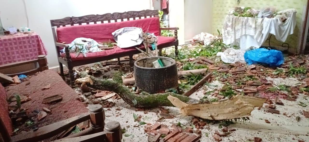 Two hurt in tree falls on houses in Benaulim, Nuvem
