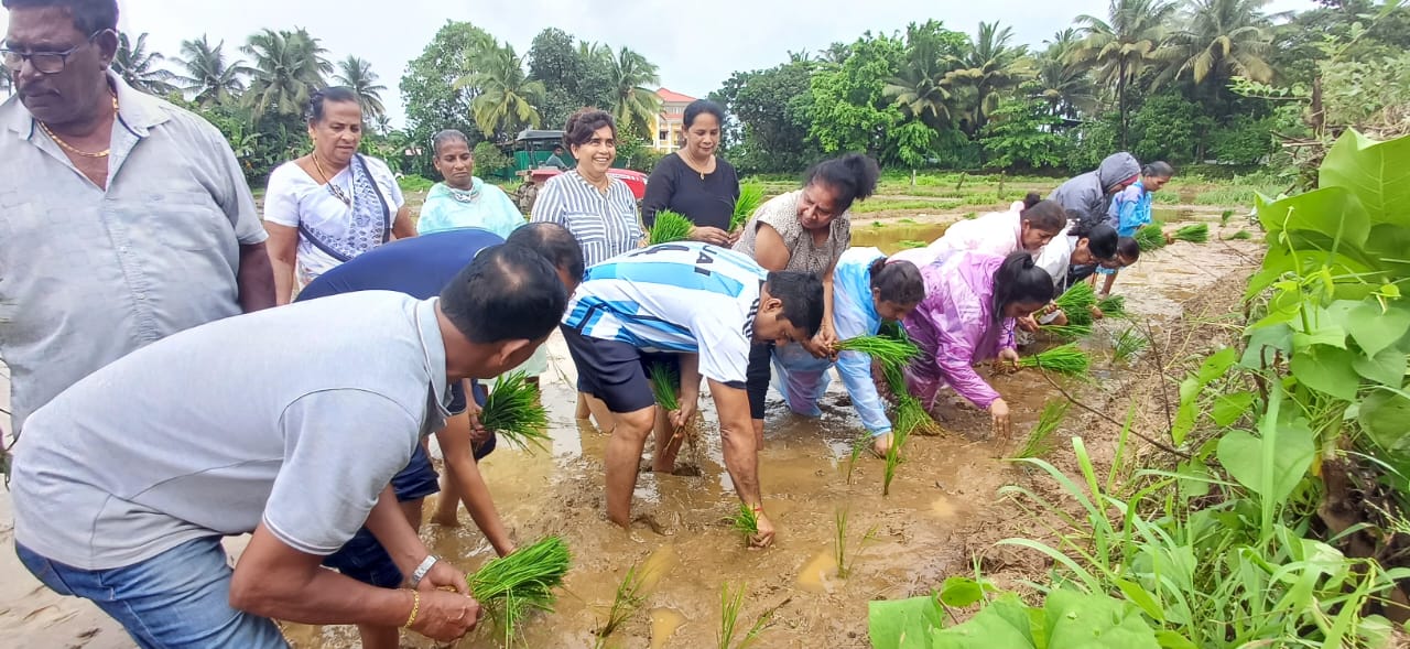 Future of agriculture lies in blending tradition with innovation: GFP chief