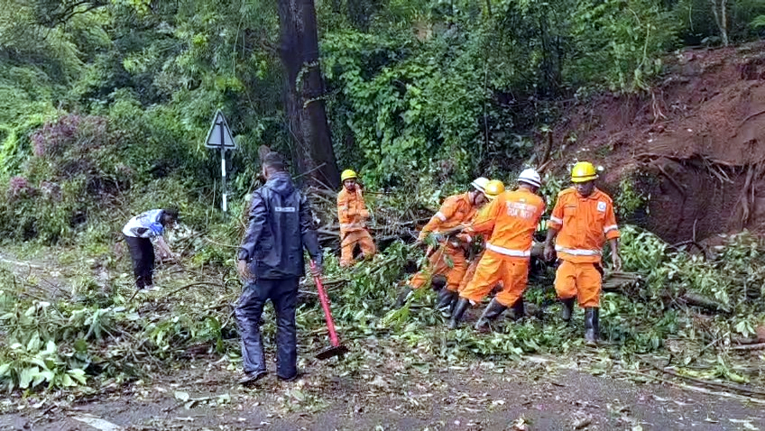 Rider killed after tree crashes on busy Vasco-Dabolim road
