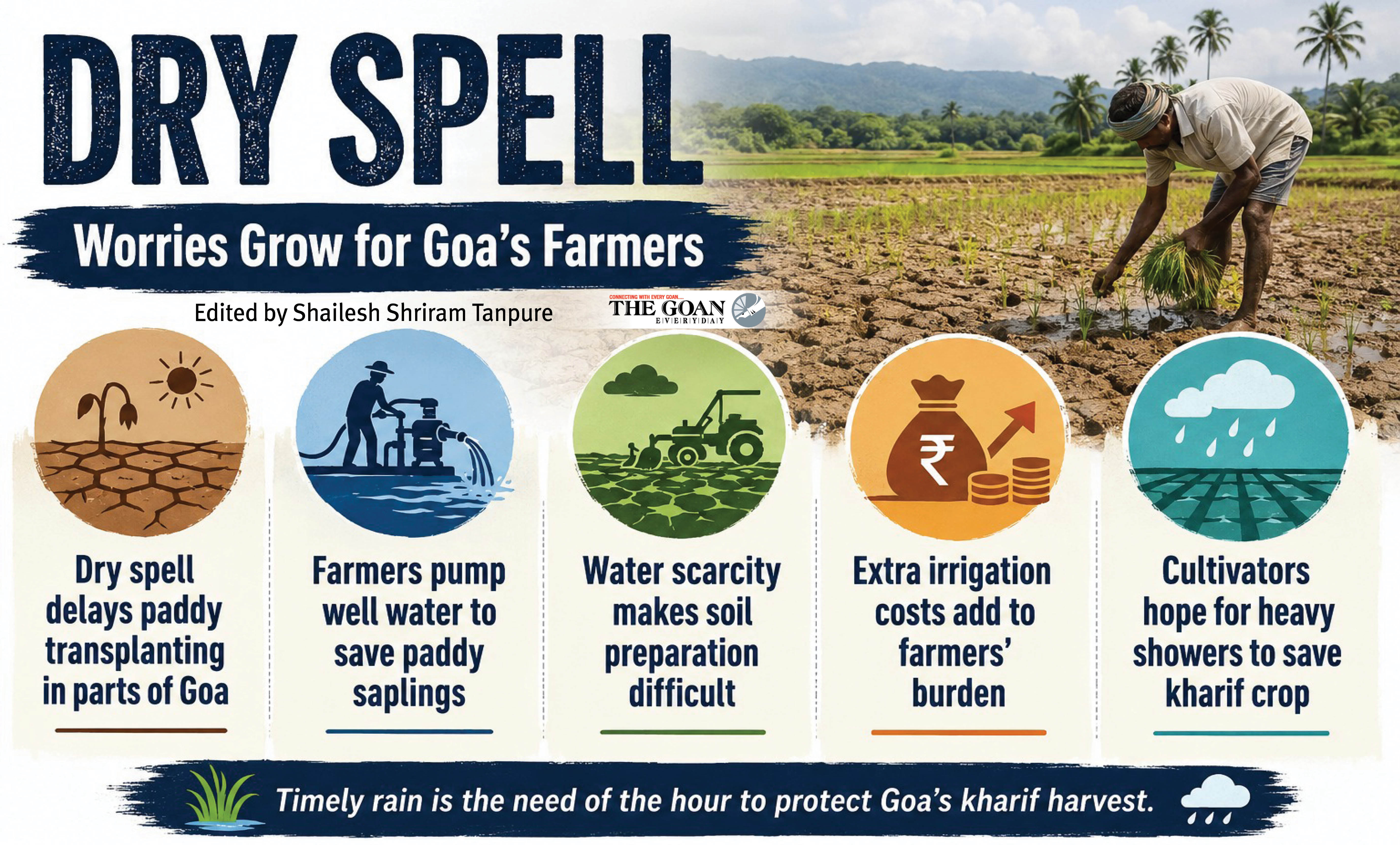 Dry spell delays paddy sowing, farmers turn to...