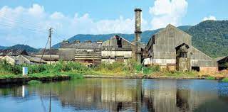 Sweet pill for defunct Sanjivani factory, govt...