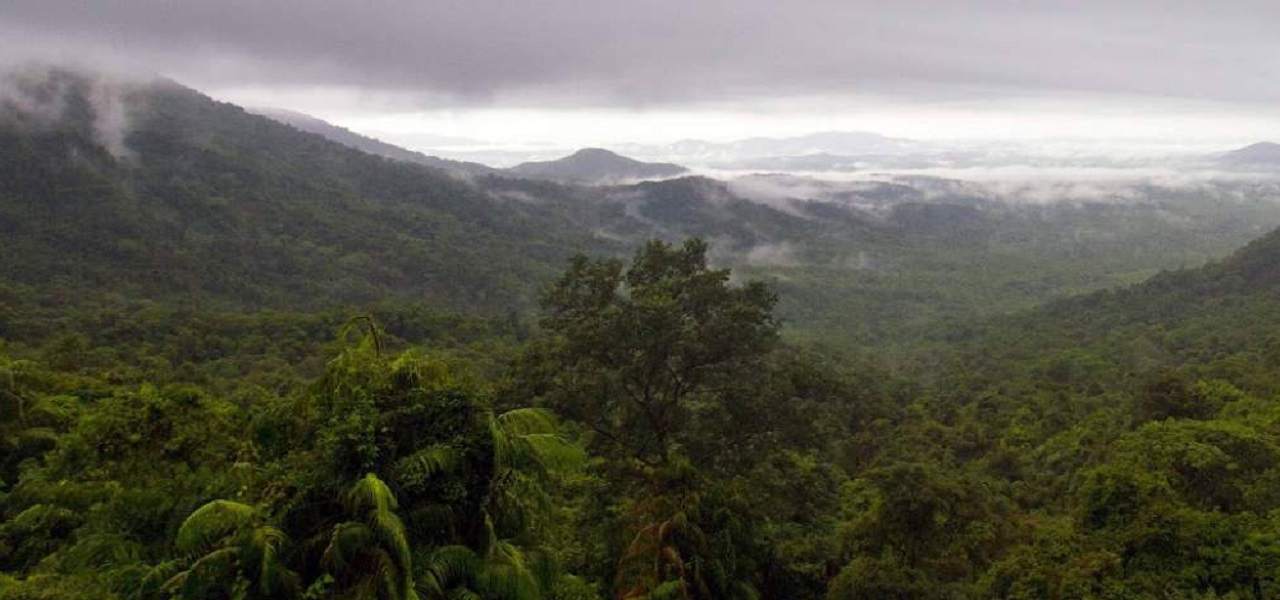 65 survey Nos stall Pvt forest report; Aug new...