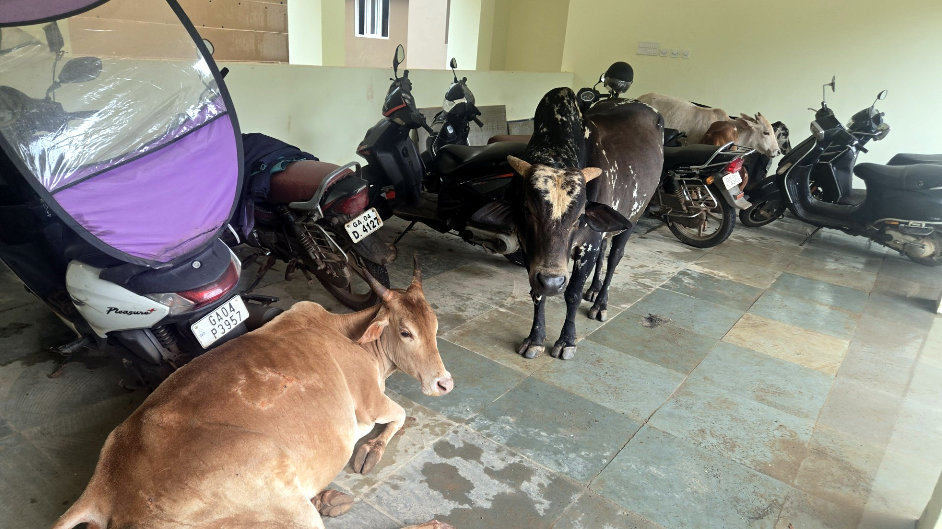 Discontent grows over unused new Sattari zonal...