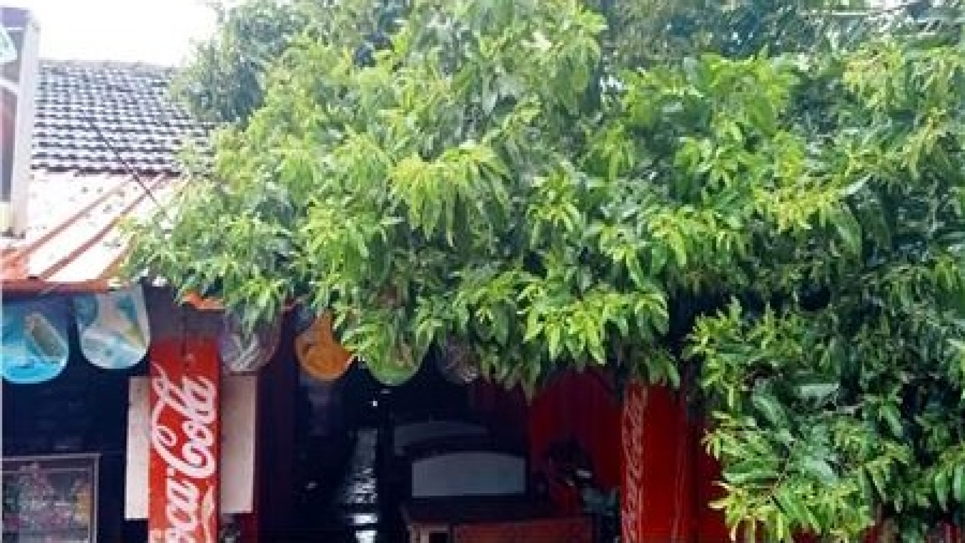 Houses, shops damaged as heavy rain lashes Sattari