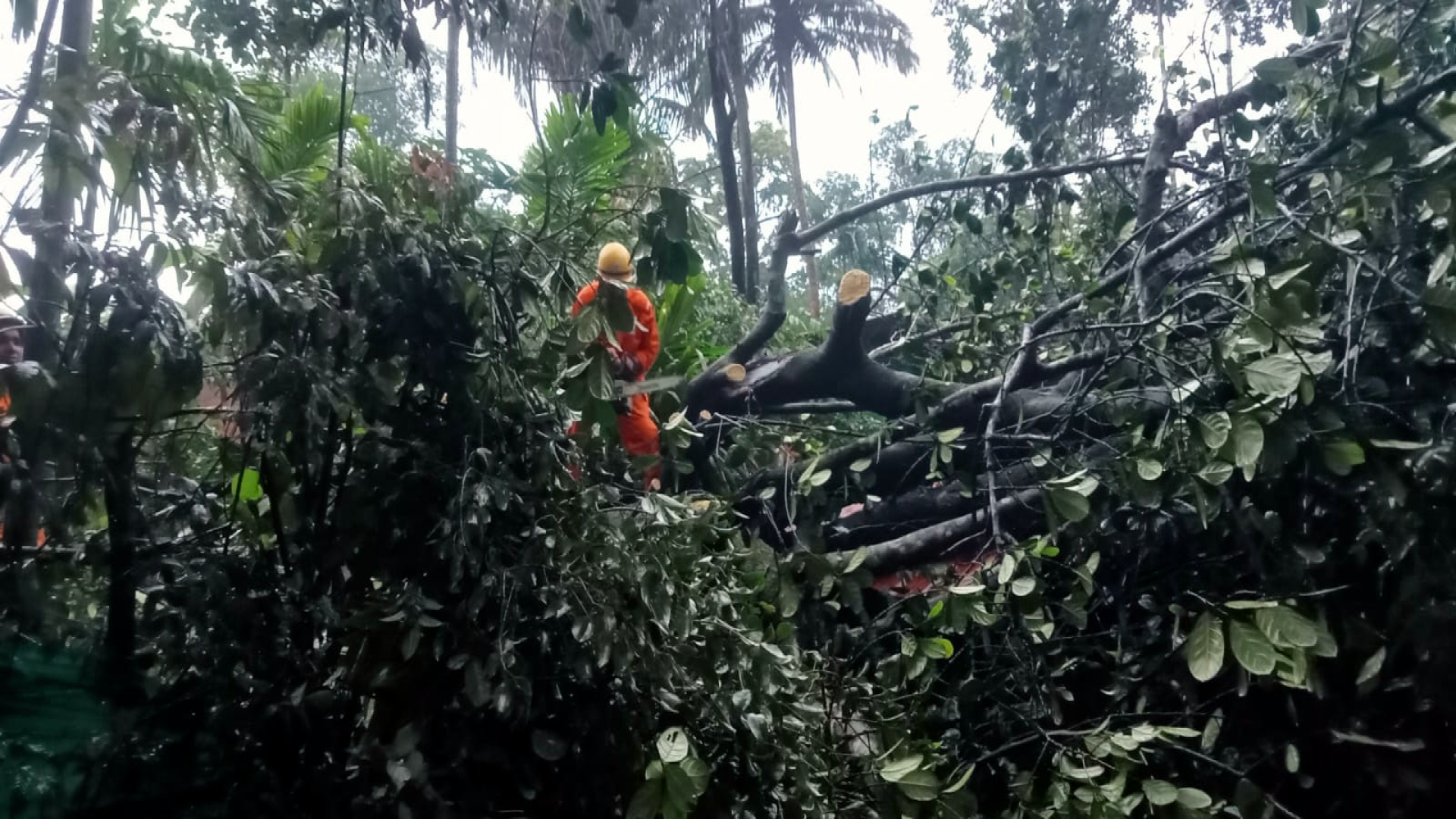 Strong winds leave trail of destruction across Sattari