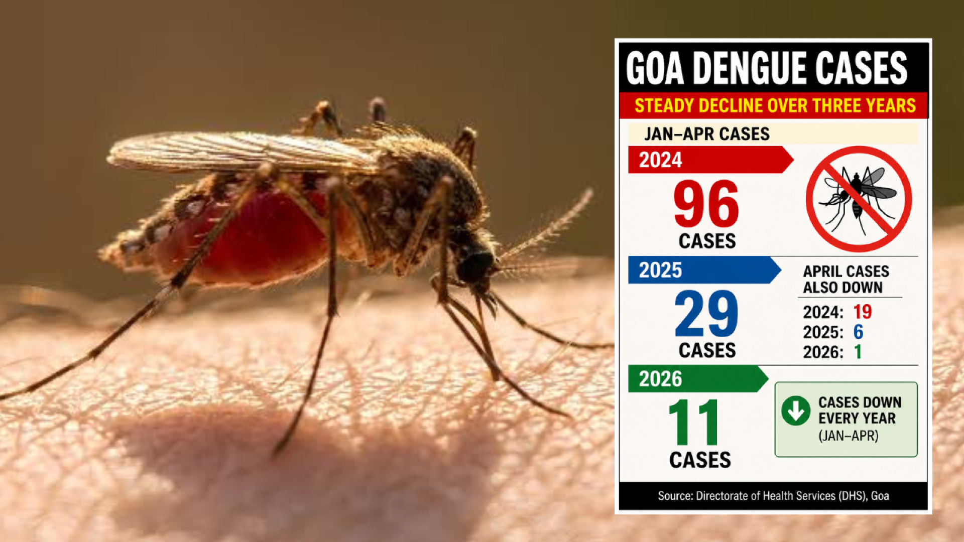 Porvorim dengue outbreak: Panchayat to chalk out containment plan