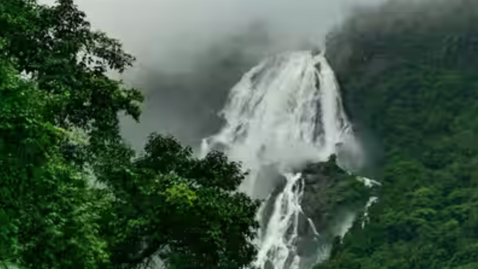 Goa’s monsoon tourism gets a singles-only twist